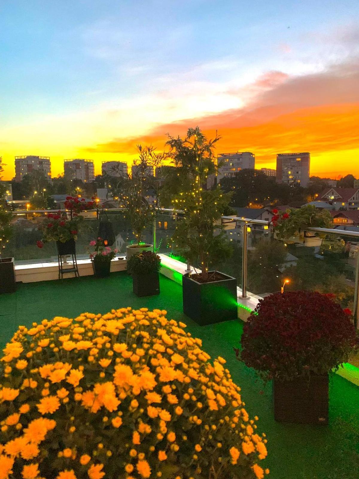 Апартаменти Penthouse Aeroport Ясси Екстер'єр фото