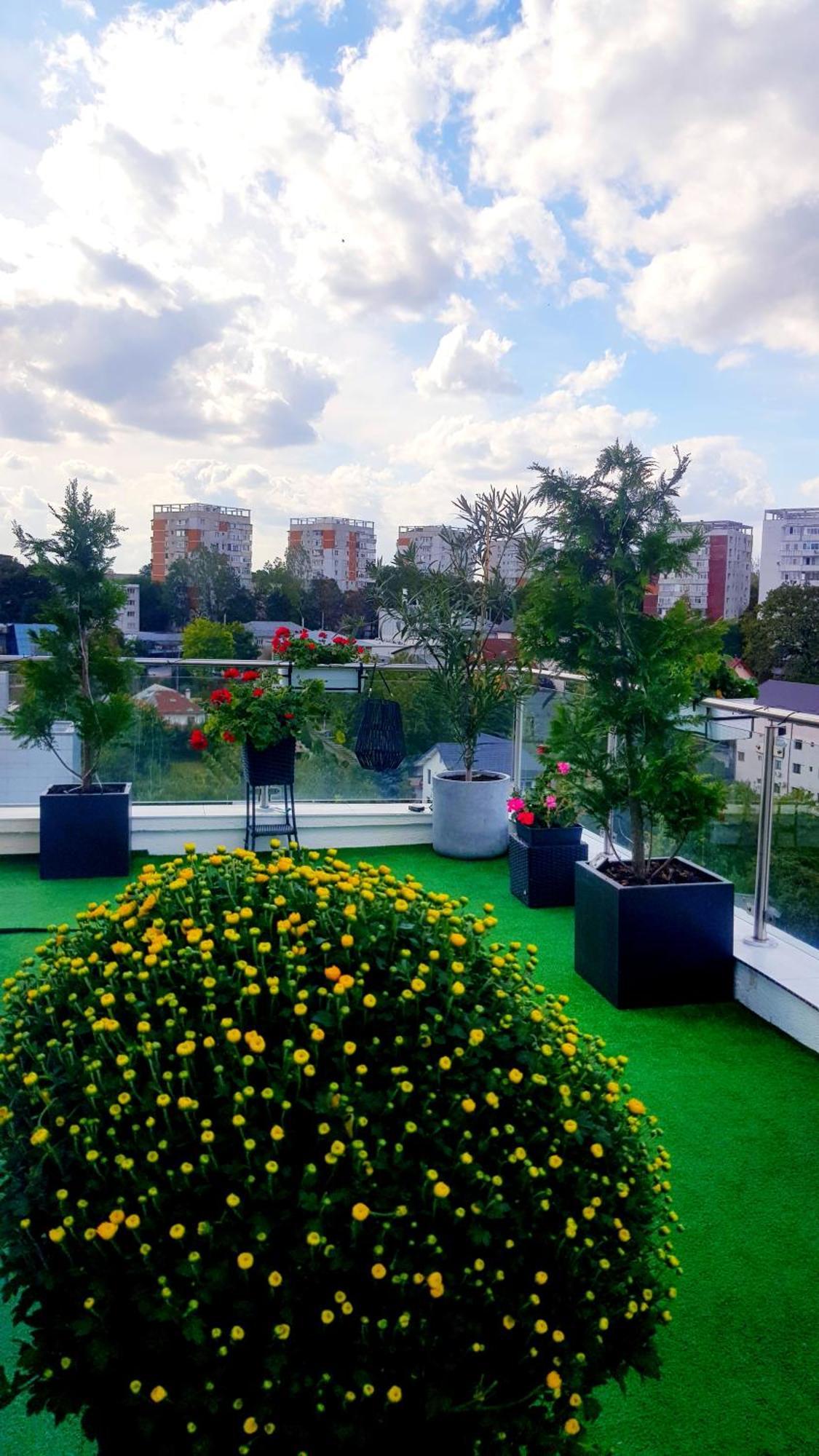 Апартаменти Penthouse Aeroport Ясси Екстер'єр фото
